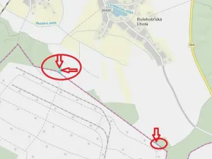 Prodej lesa, Bolehošť, 3558 m2