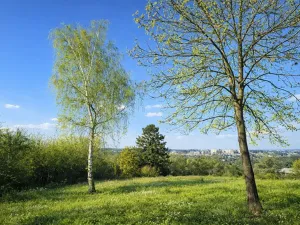 Prodej pozemku, Praha, 594 m2