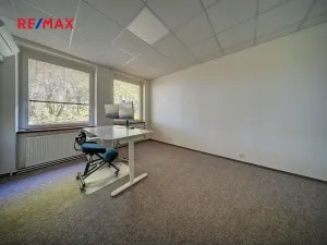 Pronájem kanceláře, Chlumec nad Cidlinou, Rooseveltova, 18 m2