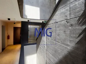 Pronájem bytu 2+kk, Brno, Cejl, 35 m2