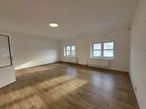 Pronájem bytu 3+1, Frýdlant nad Ostravicí, Kadlčákova, 150 m2