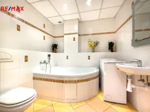 Pronájem bytu 1+1, Ostrava - Zábřeh, Dolní, 43 m2