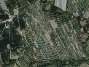 Prodej lesa, Komňa, 22428 m2