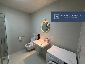 Pronájem bytu 1+kk, Brno, Provazníkova, 48 m2