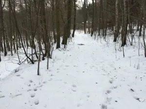 Prodej pozemku, Kadaň, 3903 m2