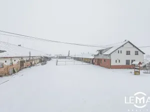 Prodej zemědělské usedlosti, Rosice, 398 m2