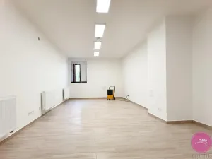 Pronájem skladu, Olomouc, Uhelná, 80 m2