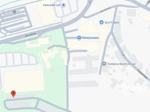 Pronájem ostatní, Slaný