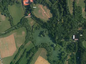 Prodej lesa, Kouřim, 87548 m2