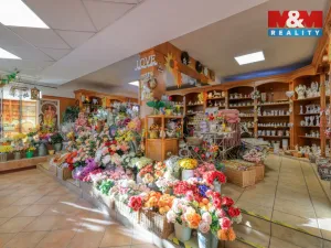 Pronájem obchodního prostoru, Železná Ruda, K Samotám, 140 m2