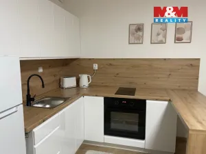 Prodej bytu 1+kk, Ostrava - Nová Ves, Na Lánech, 30 m2