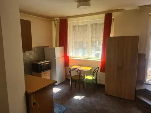 Pronájem bytu 1+kk, Olomouc, Járy da Cimrmana, 22 m2
