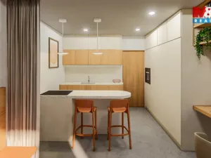 Prodej bytu 1+kk, Ostrava - Zábřeh, Čujkovova, 28 m2