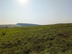 Prodej pozemku pro bydlení, Nové Lublice, 3046 m2