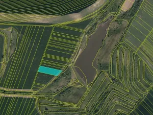 Prodej podílu pole, Nenkovice, 2909 m2