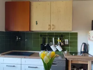 Prodej bytu 1+kk, Marčana, Chorvatsko, 34 m2