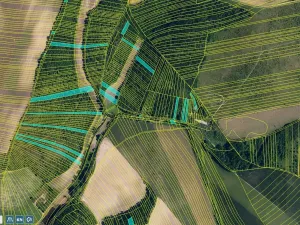 Prodej pole, Borkovany, 24082 m2