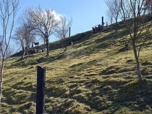 Prodej chalupy, Hodkovice nad Mohelkou, Česká, 100 m2