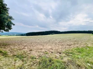 Prodej louky, Herálec, 35197 m2