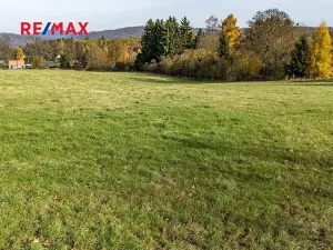 Prodej pozemku pro bydlení, Velká Bukovina, 2341 m2