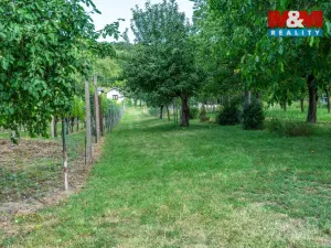 Prodej pozemku pro bydlení, Viničné Šumice, 3276 m2