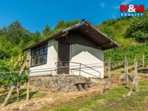 Prodej pozemku pro bydlení, Viničné Šumice, 3276 m2