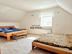 Prodej ubytování, Leskovec nad Moravicí, 200 m2