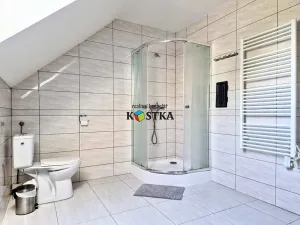 Prodej ubytování, Leskovec nad Moravicí, 200 m2