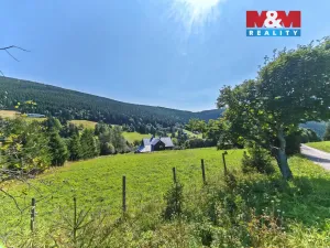 Prodej louky, Malá Úpa - Dolní Malá Úpa, 2445 m2