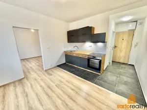 Pronájem bytu 1+1, Ústí nad Labem, Pod Parkem, 36 m2