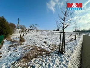 Prodej louky, Česká Třebová, 10441 m2