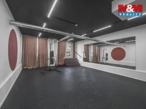 Prodej bytu 1+kk, Praha - Chodov, Čenětická, 23 m2