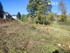 Prodej pozemku, Staré Buky, 2666 m2