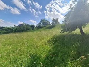 Prodej pozemku pro bydlení, Malé Svatoňovice, 2318 m2