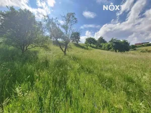 Prodej pozemku pro bydlení, Malé Svatoňovice, 2318 m2