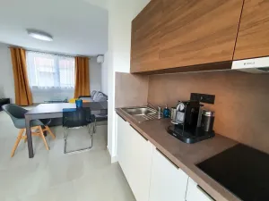 Prodej vícegeneračního domu, Pasohlávky, 320 m2
