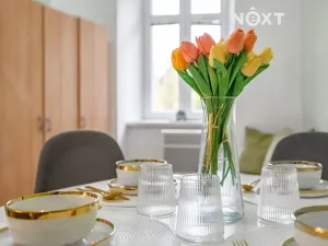 Prodej bytu 1+1, Brno, Jugoslávská, 57 m2