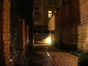 Pronájem bytu 2+1, Praha - Vinohrady, Anny Letenské, 54 m2