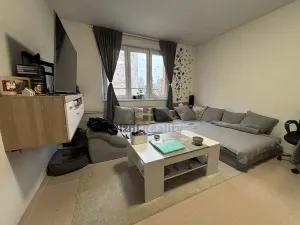 Prodej bytu 2+1, Trhové Sviny, Branka, 51 m2