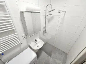 Pronájem bytu 1+kk, Praha - Vinohrady, Řipská, 28 m2