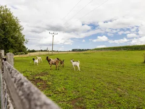 Prodej chaty, Litíč, 60 m2