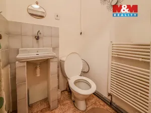 Prodej bytu 5+1, Polepy, 200 m2