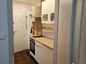 Pronájem bytu 1+kk, Praha - Vršovice, Karpatská, 28 m2