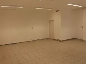 Pronájem obchodního prostoru, Prostějov, Wolkerova, 390 m2
