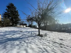 Prodej pozemku pro bydlení, Česká Třebová, 6890 m2