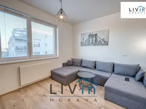 Pronájem bytu 2+kk, Olomouc, Wolkerova, 58 m2