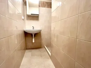 Pronájem bytu 2+1, Praha - Žižkov, Zelenky-Hajského, 70 m2