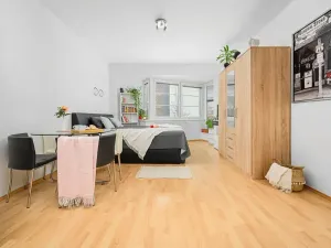 Pronájem bytu 1+kk, Liberec, Jeronýmova, 33 m2