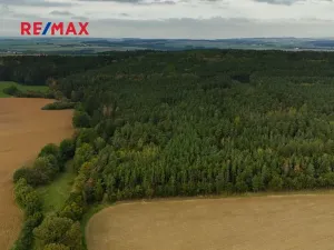 Prodej lesa, Všehrdy, 35057 m2