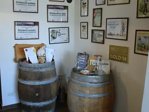 Prodej rodinného domu, Moravská Nová Ves, Pod Kostelem, 108 m2